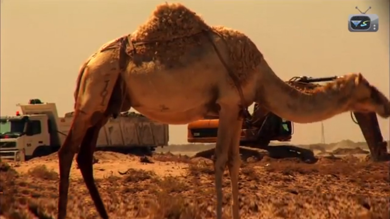 Discovery Documentry E02 Part1