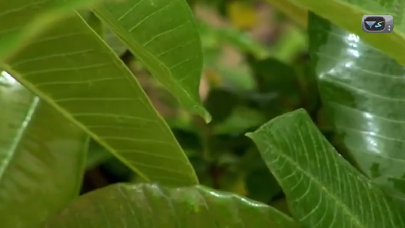 Discovery Documentry E02 Part5
