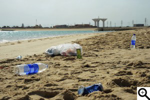 Plastic bottle and cola can thrown in shore line