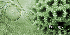 Ecology