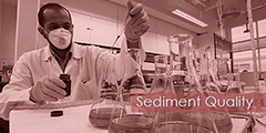 Sediment Quality
