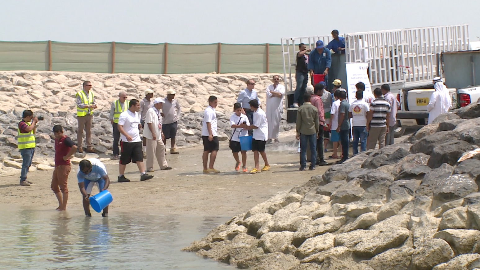 Fish Release
