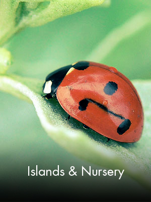 Sabah Al Ahmad Sea City - Islands & Nursery